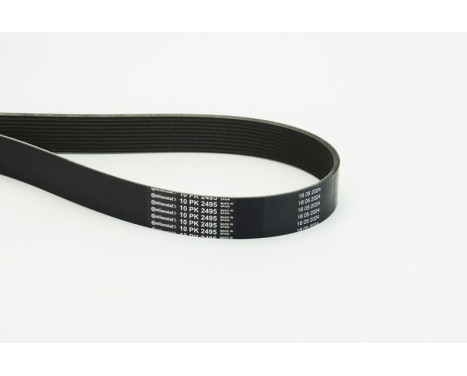 Poly V-belt 10PK2495 Contitech