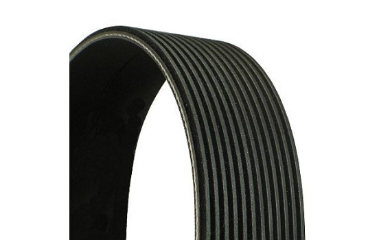 Poly V-belt 12PK1948 Contitech