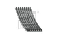 Poly V-belt 182537 FEBI