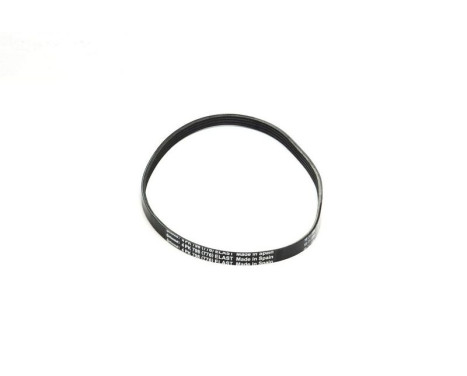 Poly V-belt 4PK798 ELAST Contitech