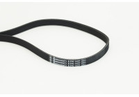 Poly V-belt 5PK1427 Contitech