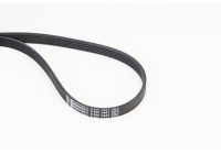 Poly V-belt 5PK1441 Contitech