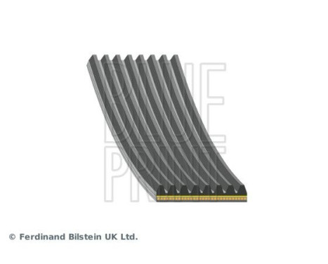 Poly V-belt AD08A1055 Blue Print