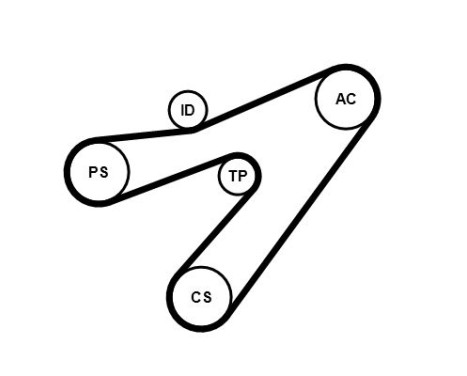 Poly V-belt set 4PK1538K1 Contitech, Image 3