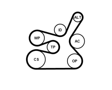 Poly V-belt set 6DPK1817K2 Contitech, Image 3