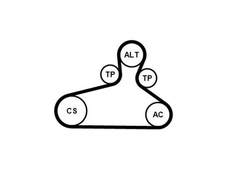 Poly V-belt set 6PK1034 EXTRA K1 Contitech, Image 3
