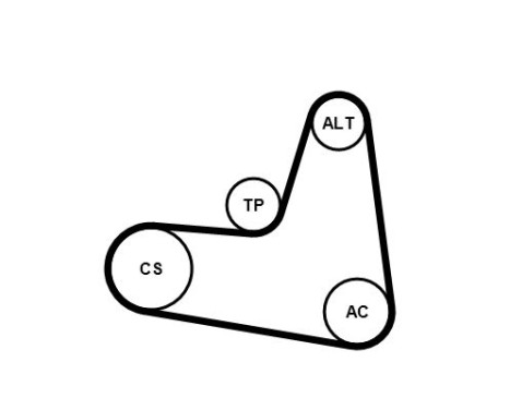 Poly V-belt set 6PK1120K2 Contitech, Image 3