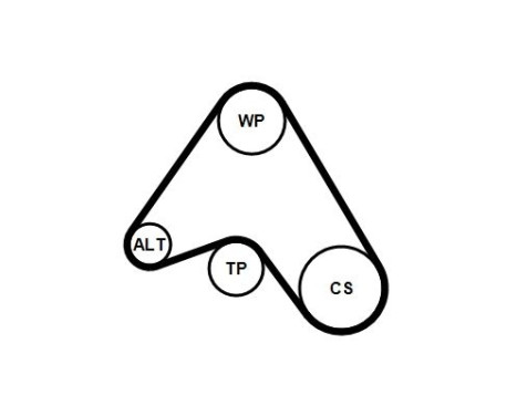 Poly V-belt set 6PK1390K2 Contitech, Image 3