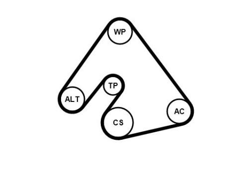 Poly V-belt set 6PK1400K1 Contitech, Image 2