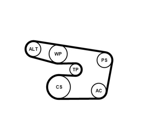 Poly V-belt set 6PK1873K3 Contitech, Image 3
