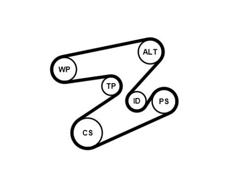 Poly V-belt set 6PK1893K1 Contitech, Image 3