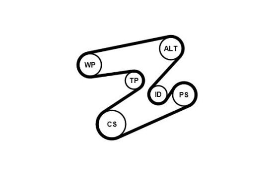 Poly V-belt set 6PK1893K1 Contitech, Image 3