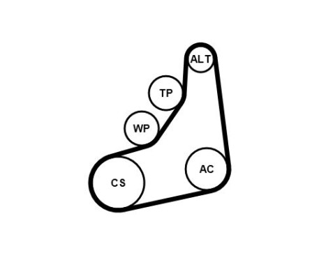 Poly V-belt set 8PK1162 EXTRA K1 Contitech, Image 3