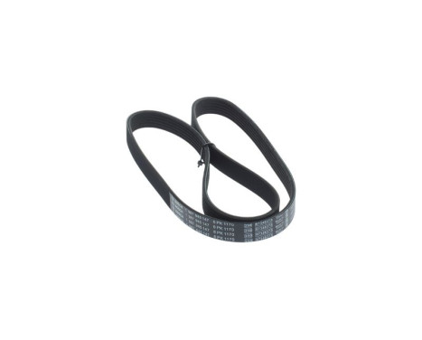 Poly V-belt