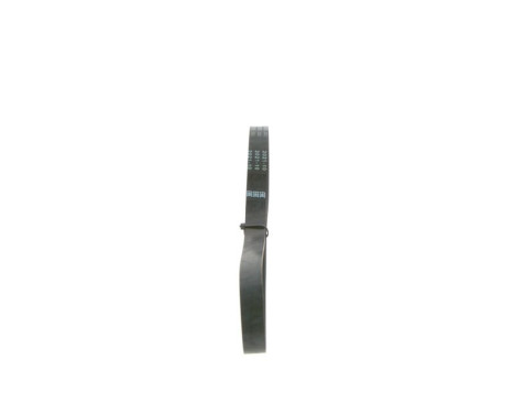 V-Ribbed Belt Elastic, Image 4
