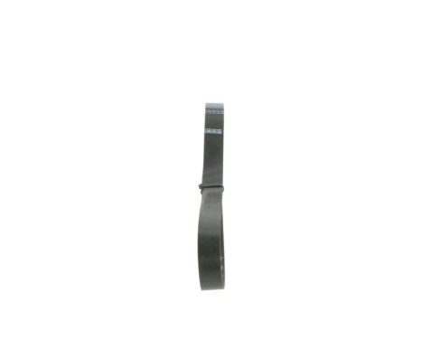 V-Ribbed Belt Elastic, Image 2