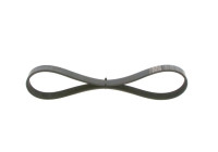 V-Ribbed Belt Elastic