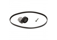 V-Ribbed Belt Set 40308 FEBI