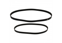 V-Ribbed Belt Set 40859 FEBI
