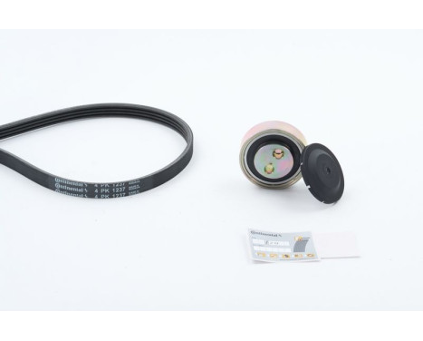 V-Ribbed Belt Set 4PK1237K1 Contitech, Image 3