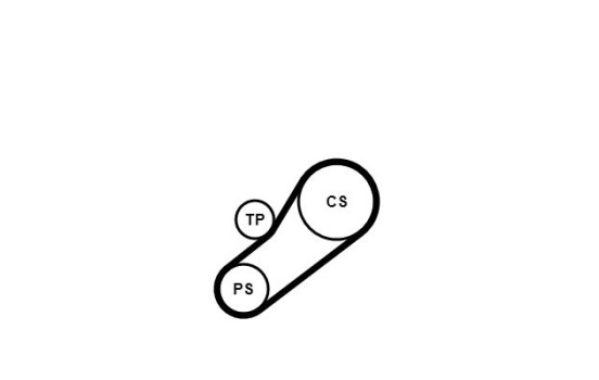 V-Ribbed Belt Set 4PK735K1 Contitech, Image 4
