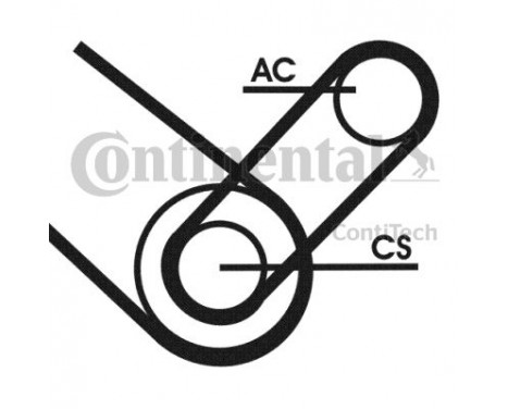 V-Ribbed Belt Set 4PK874T1 Contitech, Image 3