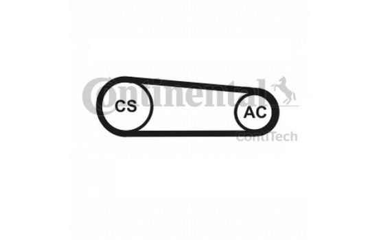 V-Ribbed Belt Set 4PK917T1 Contitech, Image 5