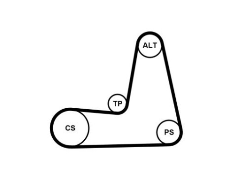 V-Ribbed Belt Set 5PK1110K1 Contitech, Image 3