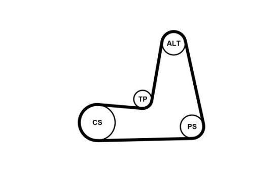 V-Ribbed Belt Set 5PK1110K1 Contitech, Image 3