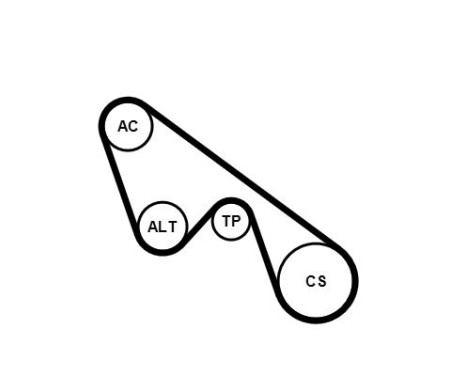 V-Ribbed Belt Set 5PK1150K1 Contitech, Image 3