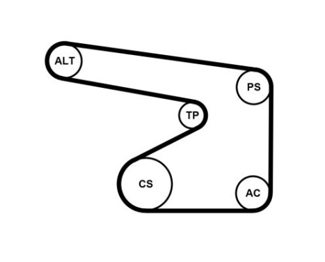 V-Ribbed Belt Set 5PK1355K1 Contitech, Image 4