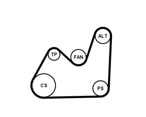 V-Ribbed Belt Set 5PK1432K1 Contitech, Image 3