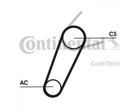 V-Ribbed Belt Set 5PK711T1 Contitech, Image 3