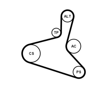 V-Ribbed Belt Set 6DPK1195K1 Contitech, Image 3