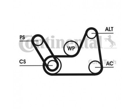 V-Ribbed Belt Set 6PK 1019 T1 Contitech, Image 2