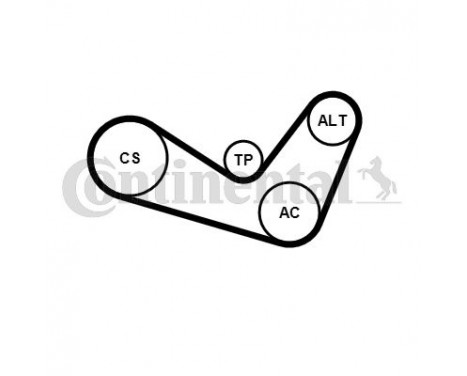 V-Ribbed Belt Set 6PK1050K2 Contitech, Image 6