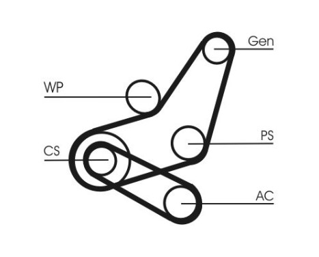 V-Ribbed Belt Set 6PK1059 ELAST T2 Contitech, Image 4