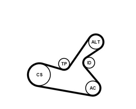 V-Ribbed Belt Set 6PK1125K1 Contitech, Image 3