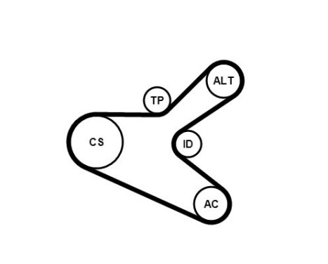 V-Ribbed Belt Set 6PK1153K2 Contitech, Image 3