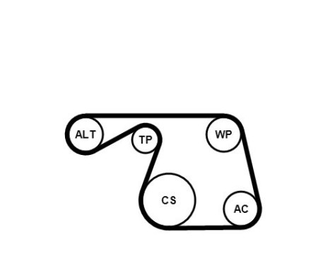 V-Ribbed Belt Set 6PK1310K1 Contitech, Image 2