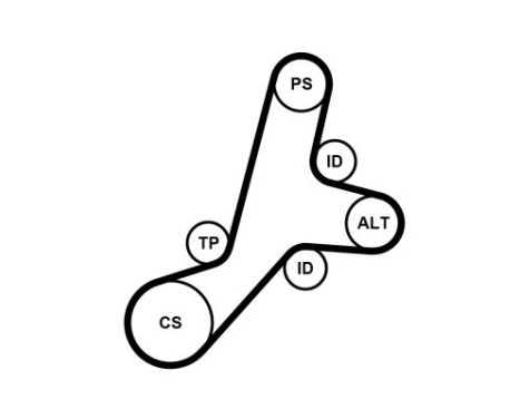 V-Ribbed Belt Set 6PK1345K1 Contitech, Image 2