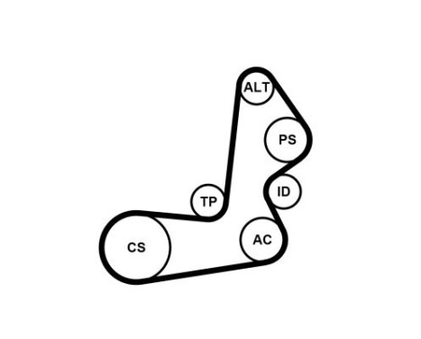 V-Ribbed Belt Set 6PK1515K1 Contitech, Image 3