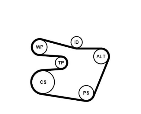 V-Ribbed Belt Set 6PK1538K1 Contitech, Image 9