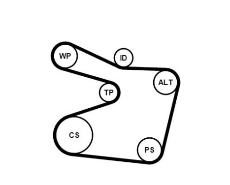 V-Ribbed Belt Set 6PK1555K1 Contitech, Image 3