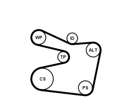 V-Ribbed Belt Set 6PK1555K2 Contitech, Image 4