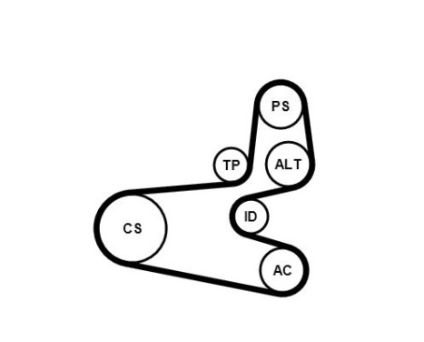 V-Ribbed Belt Set 6PK1560K1 Contitech, Image 2