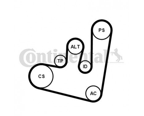 V-Ribbed Belt Set 6PK1660K2 Contitech