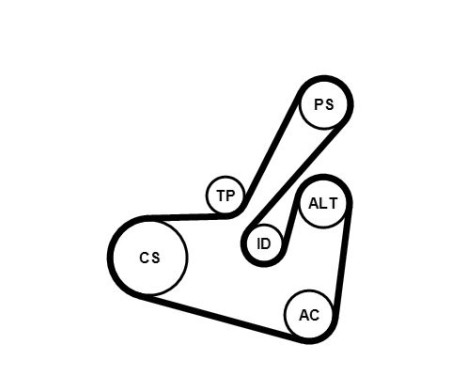 V-Ribbed Belt Set 6PK1750K1 Contitech, Image 2