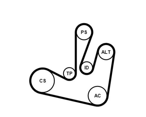V-Ribbed Belt Set 6PK1750K2 Contitech, Image 3