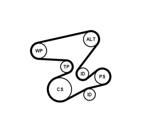 V-Ribbed Belt Set 6PK2080K1 Contitech, Image 10